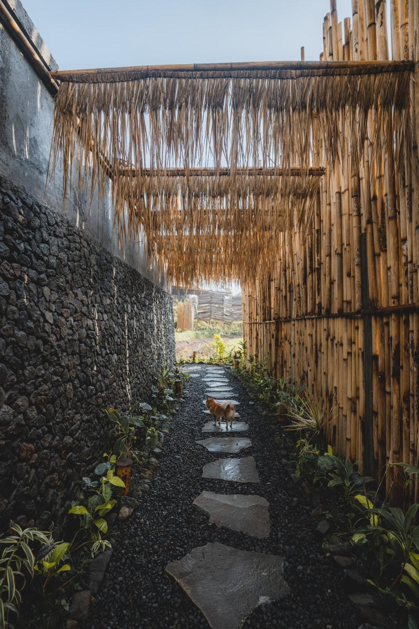 Nivriti Bali Villa Sidemen  Exterior photo